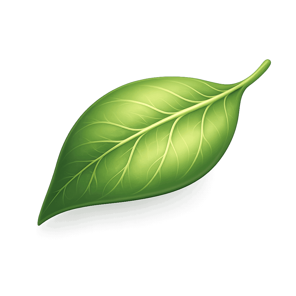Plant leaf