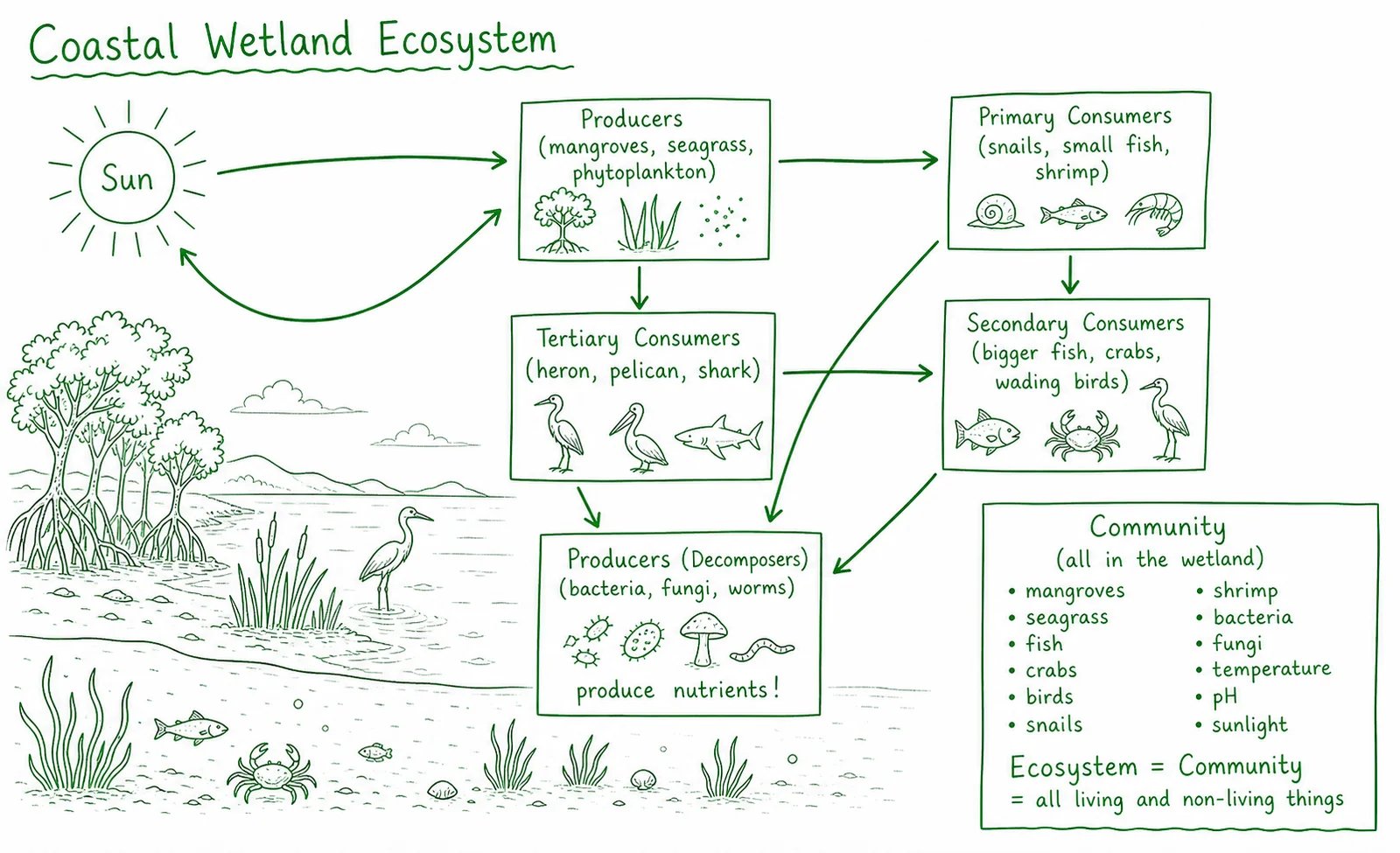 Diagram critique, spot the errors in this student’s work