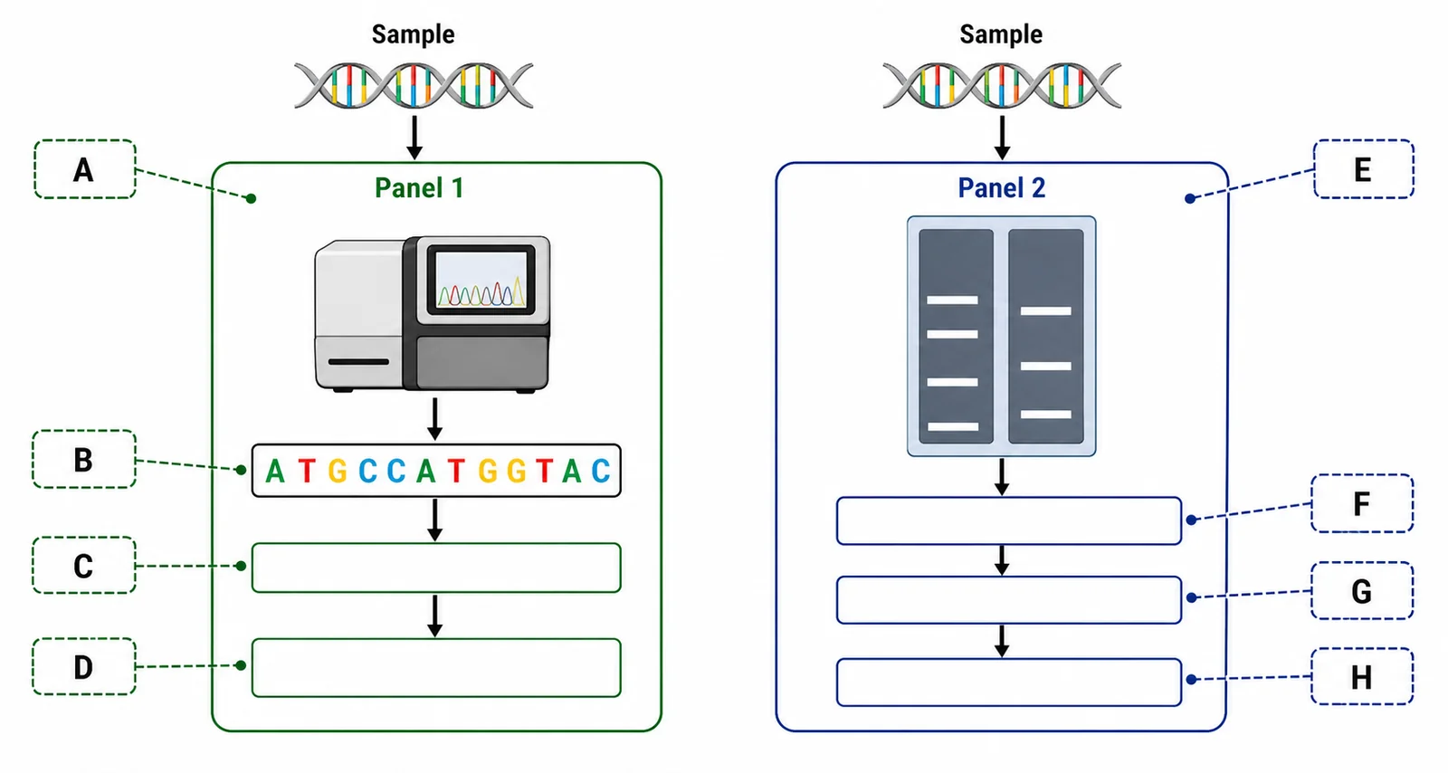 Label the sequencing-vs-profiling diagram