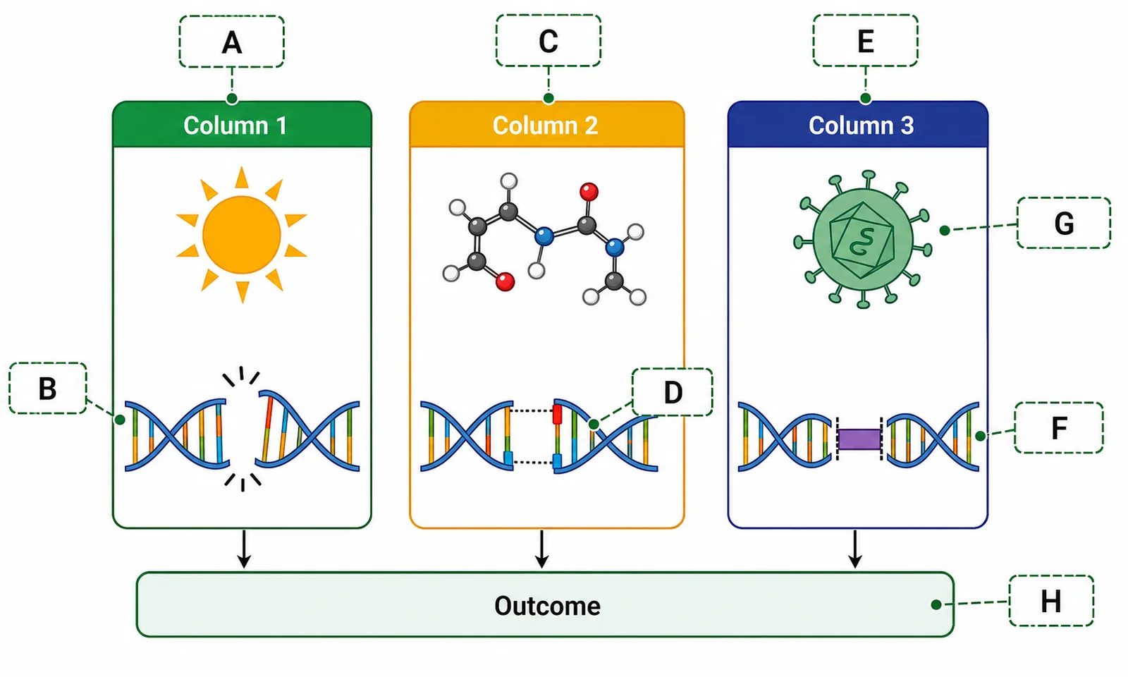 Label the mutagen-categories diagram