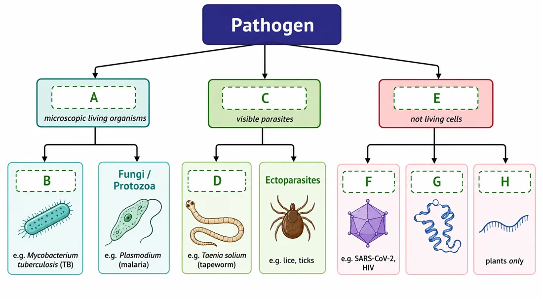 Pathogen classification branching-tree diagram