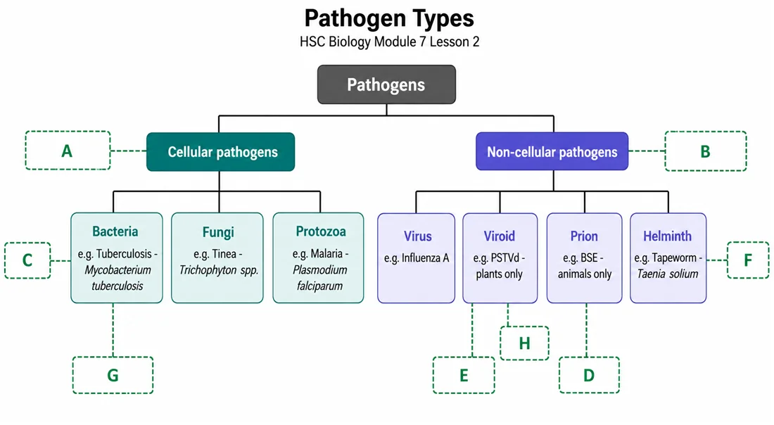 Pathogen types classification tree