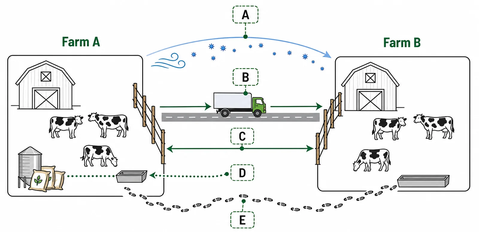 Classify the disease transmission routes