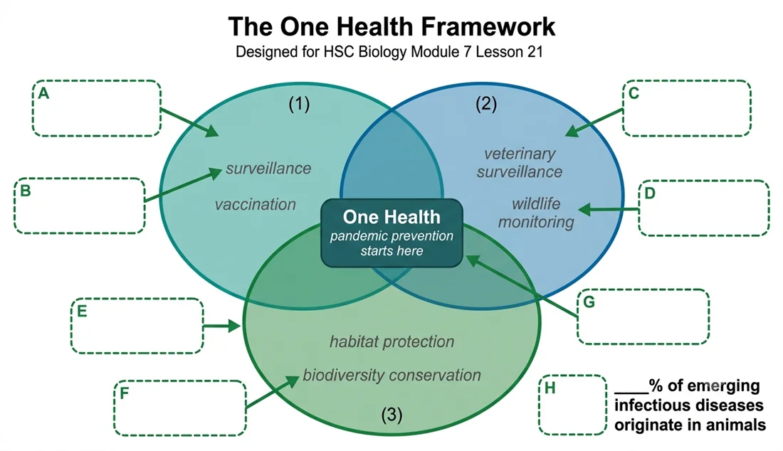The One Health Framework Venn diagram