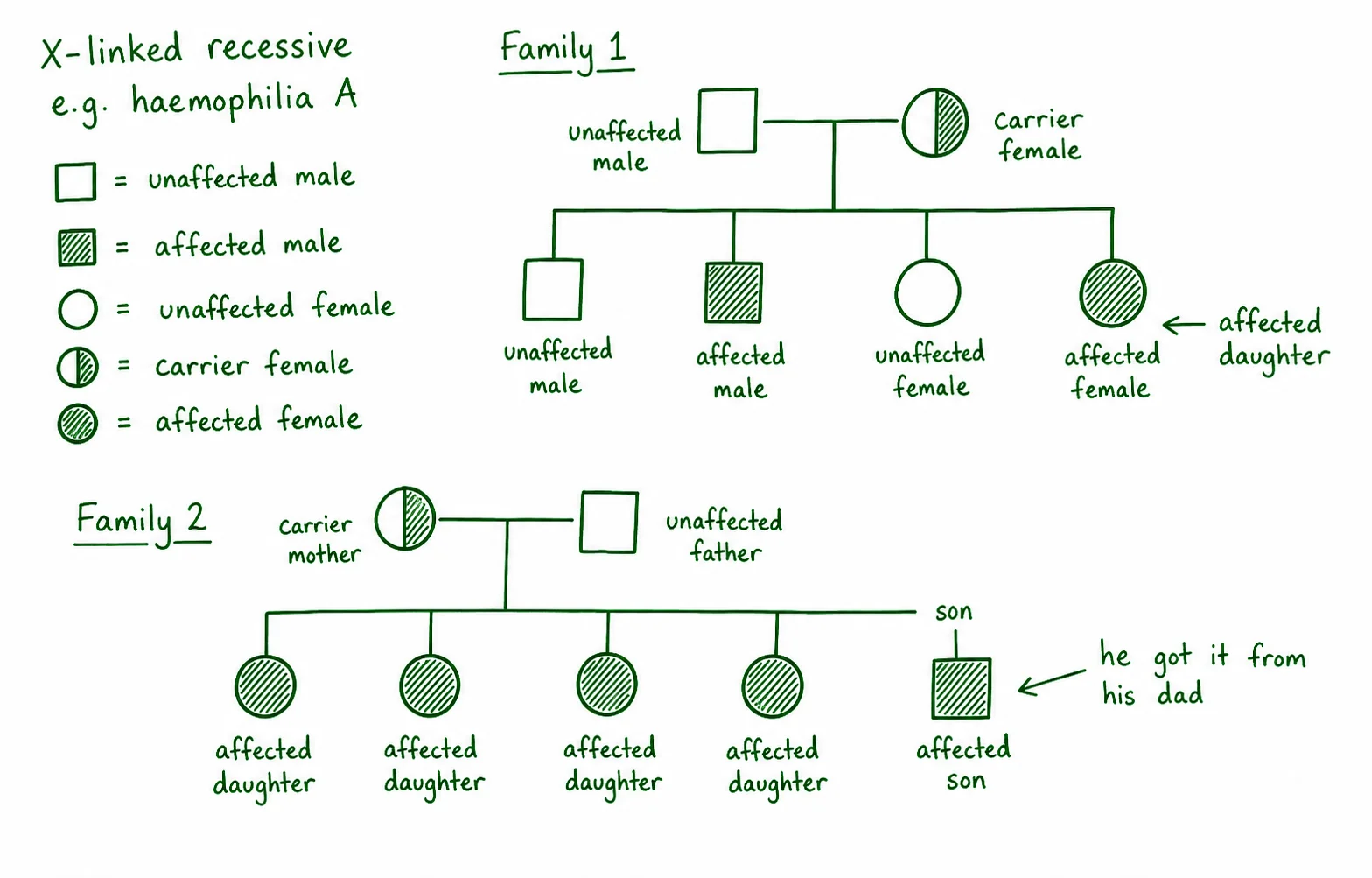 Diagram critique, spot the errors in this pedigree