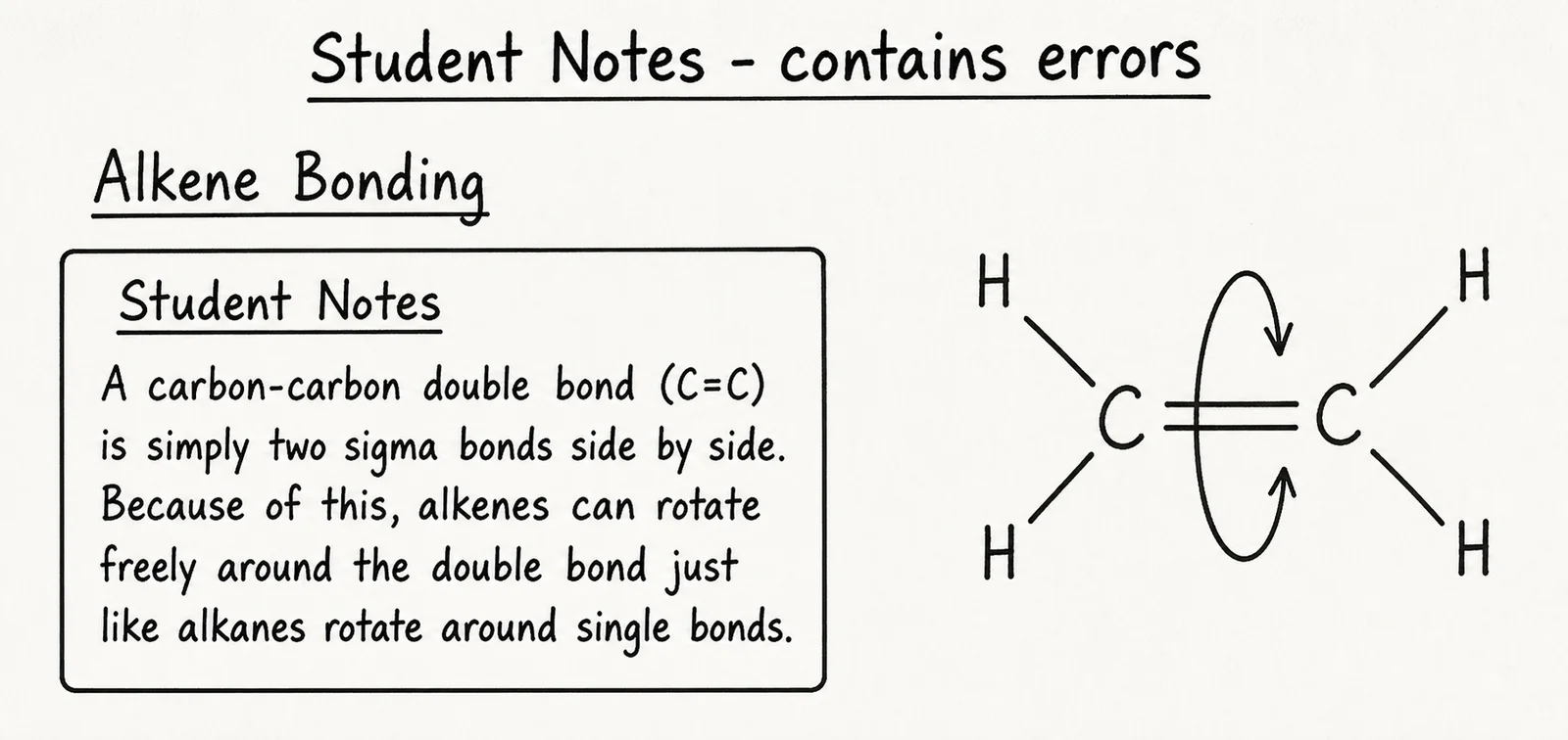 Source critique, student claim about alkene rotation (Band 5–6)