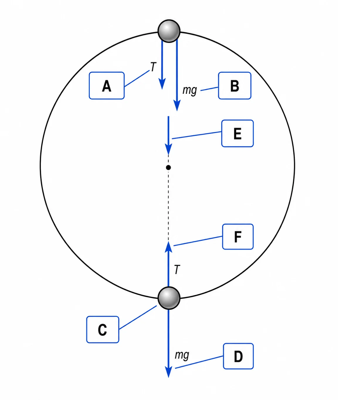 Label the force diagram, vertical circle at top and bottom