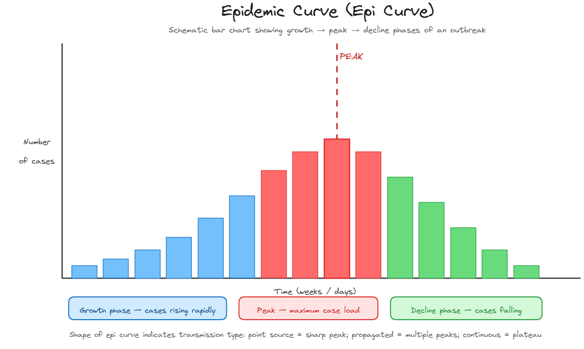 Epidemic Curve, COVID-19 Schematic