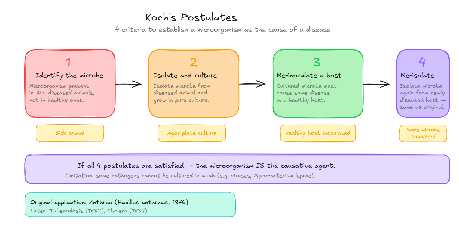 Koch's Postulates, 4 Steps